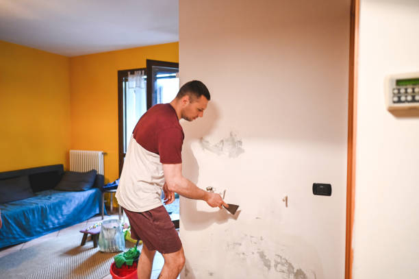 Best Affordable Mold Removal  in Greenville, NY
